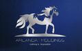Arlanda Holdings Co., Ltd